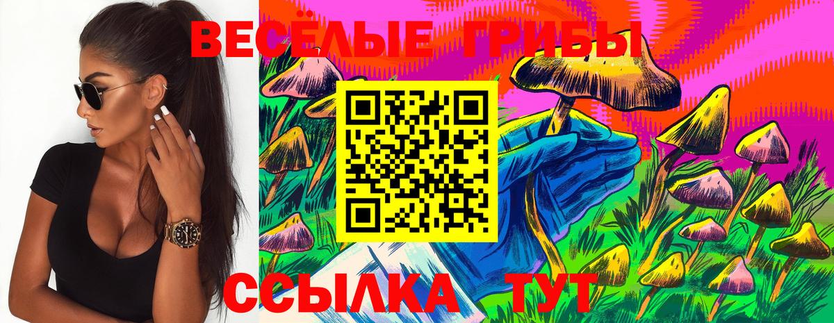 Псилоцибиновые грибы Psilocybine cubensis Воронеж