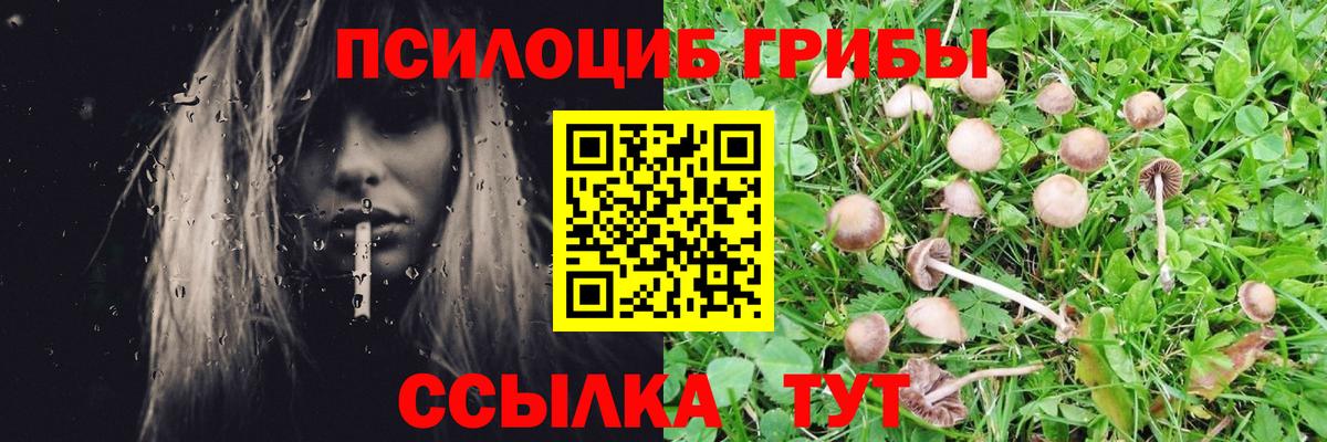 Галлюциногенные грибы Cubensis  Вход с VPN  Галлюциногенные грибы Cubensis  Воронеж 